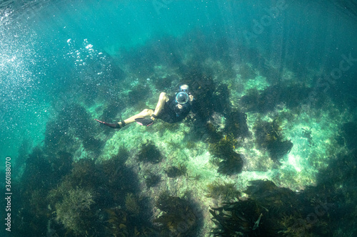 Wallpaper Mural Snorkelling in Japan an underwater world full of seaweed and amazing seascapes. A caucasioan man swimming underwater. Torontodigital.ca