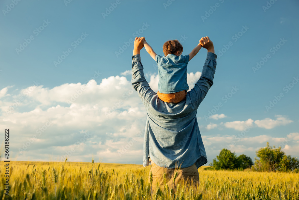 father and son in wheat field, child sitting on his fathers shoulders father and son in wheat field, child sitting on his fathers shoulders