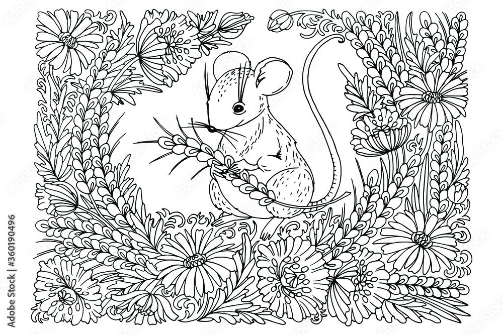 Obraz premium coloring book, mouse sitting in spikelets of poppies and daisies, for adults, for children, antistress, doodle, vector illustration, black and white