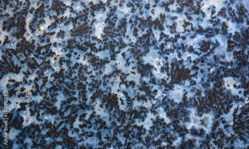 Slika na platnu Dendritic Agate macro photograph.