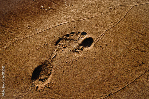 The footprint on the sand