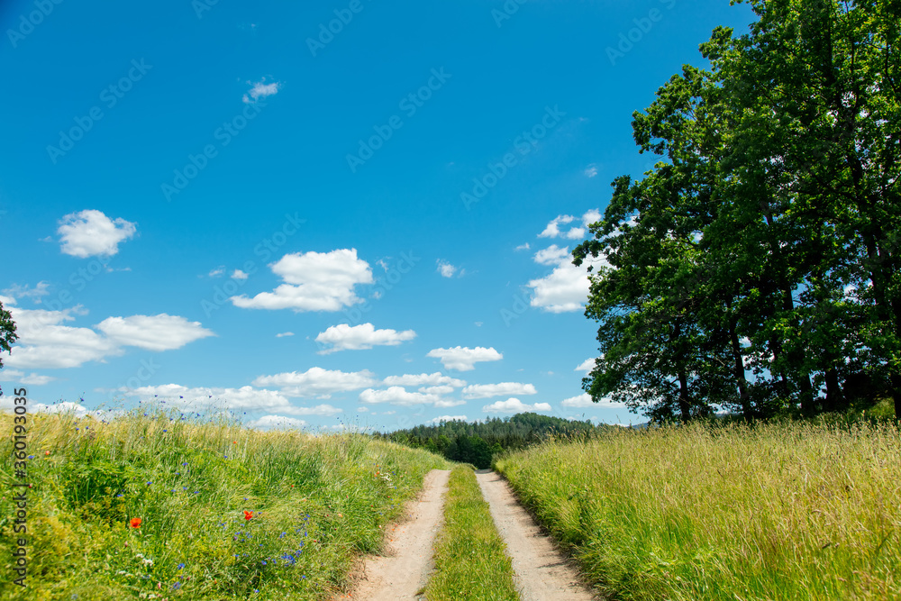 View on countryside road with clouds on background in South Poland