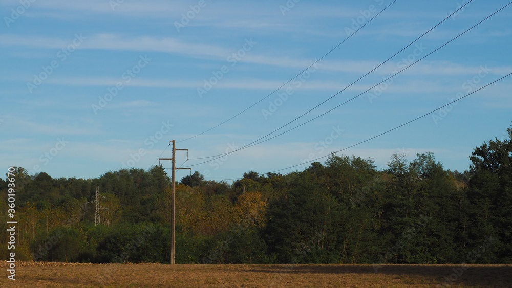 Paysage landais, avec présence de ligne haute tension Paysage landais, avec présence de ligne haute tension