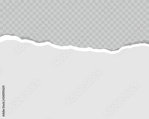 Torn gray paper background