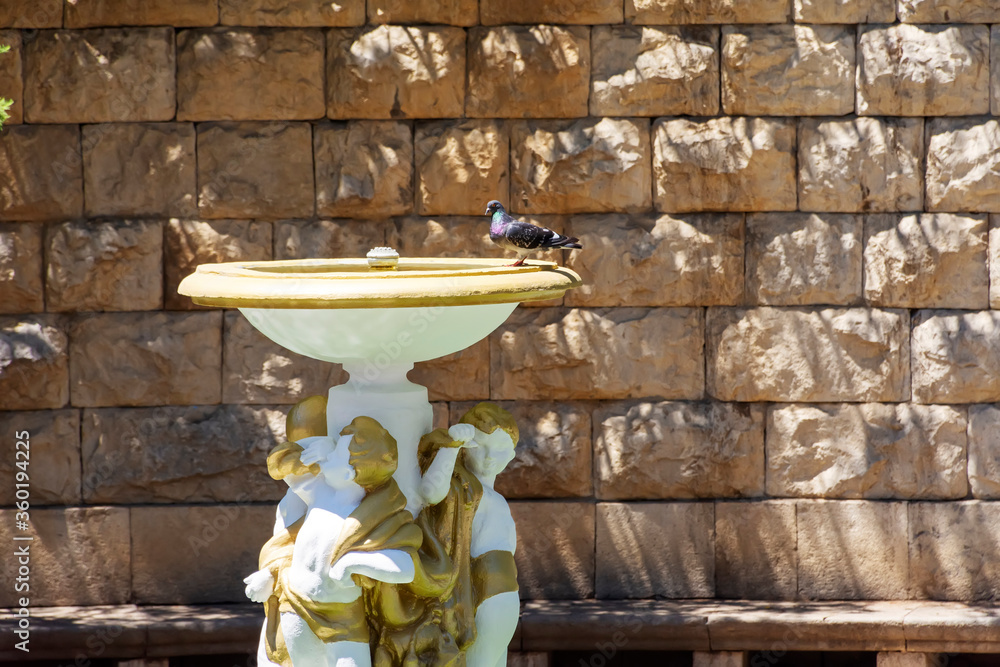 Obraz premium a dove sitting on a bowl of an old Soviet fountain