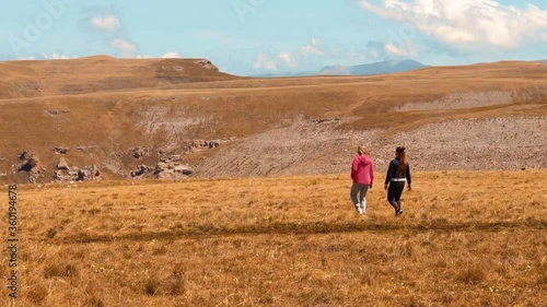 Wallpaper Mural two girls walk on the field Torontodigital.ca