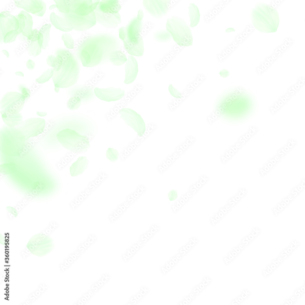 Green flower petals falling down. Mesmeric romanti Green flower petals falling down. Mesmeric romanti