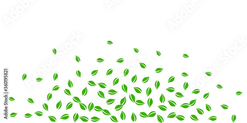 Falling green leaves. Fresh tea random leaves flyi