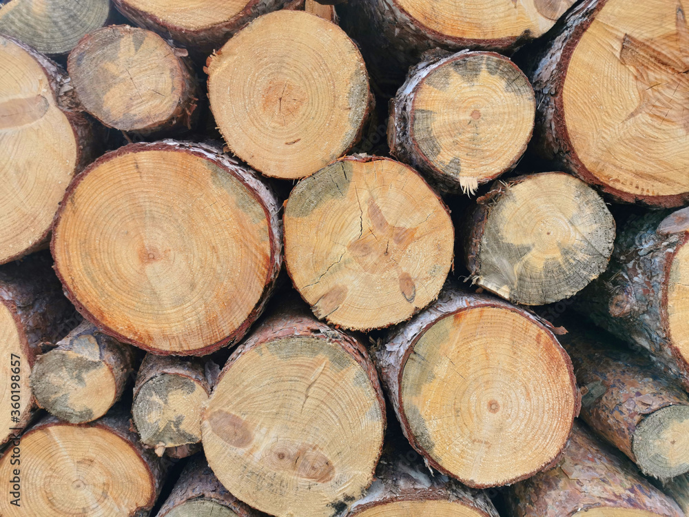 Set of stacked and sawn wooden logs. Background for design or decoration Set of stacked and sawn wooden logs. Background for design or decoration
