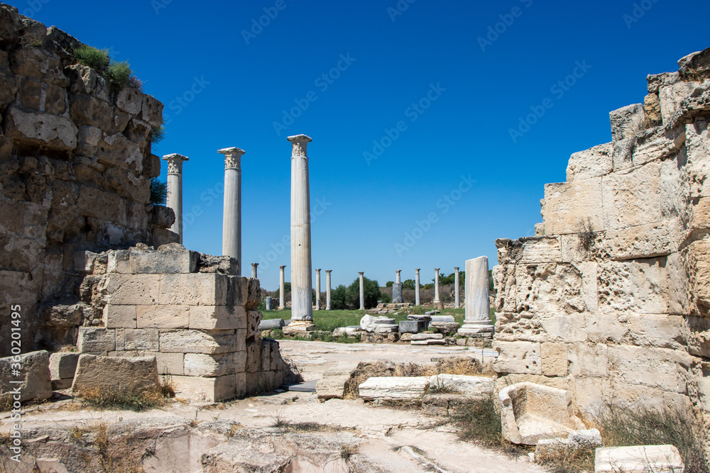 The Salamis ruins, Famagusta, Turkish Republic of Northern Cyprus, Cyprus