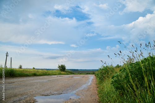 Fototapeta Naklejka Na Ścianę i Meble -  Beautiful green field landscape before rain. Countryside village rural natural background at sunny weather in spring summer. Green grass and blue sky with clouds. Nature protection concept.