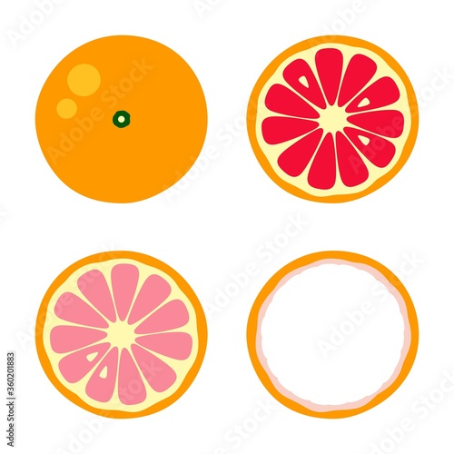 Orange tangerine grapefruit lemon lime on a white background. Vector illustration of summer fruits and citrus. Citrus icons are silhouettes of pictograms. Tropical fruit. Grapefruit parts, slices