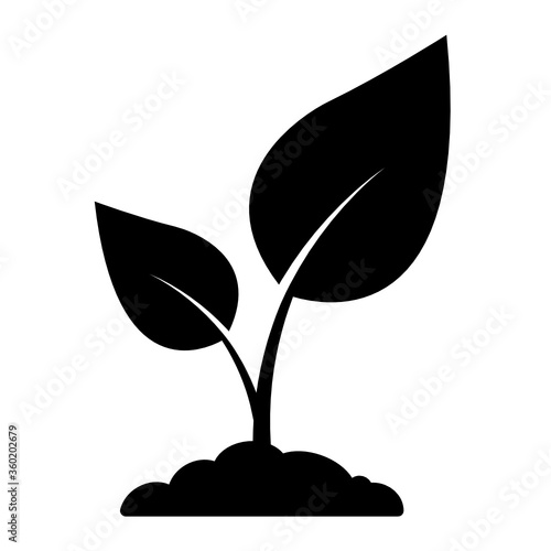 Seedling vector.Money Tree icon vector.Plant icon.Leaf icon.Sprout icon