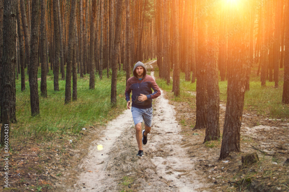Obraz premium Man in hoodie has workout in a pine forest. Concept of morning matins jogging in outdoor