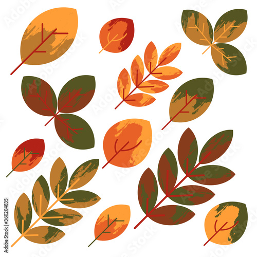 Colorful autumn leaves set
