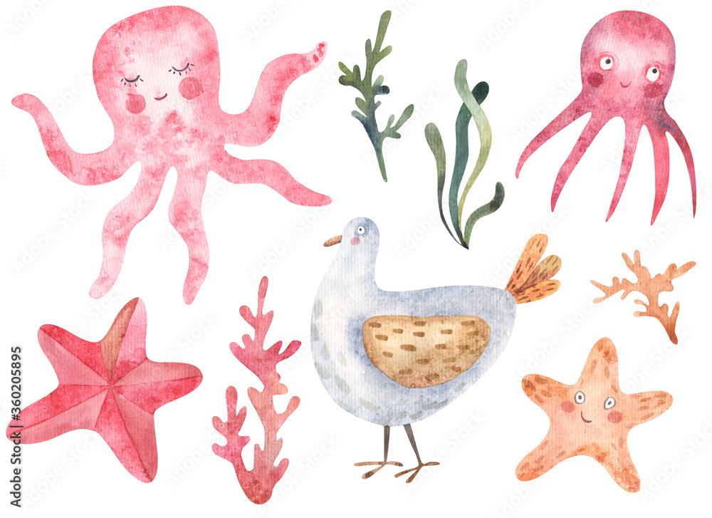 sea set with jellyfish and seagull and starfish watercolor illustration on white background sea set with jellyfish and seagull and starfish watercolor illustration on white background