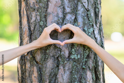 Two hands on a background of a large pine tree show a heart. Nature conservation concept. Focus on hands blurred background