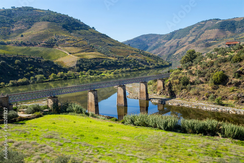 Douro Valley and river