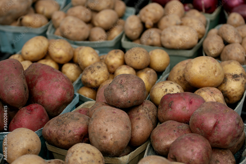 Fresh Vegetables at a local farmers market Fresh Vegetables at a local farmers market