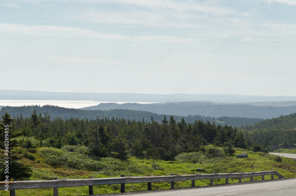 Newfoundland landscape
