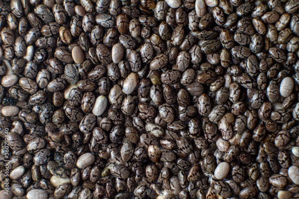 Macro photo of chia seeds. Superfoods, healthy black seeds organic, source of omega 3, calcium and iron. Proper nutrition, diet and health care. Macro photo of chia seeds. Superfoods, healthy black seeds organic, source of omega 3, calcium and iron. Proper nutrition, diet and health care.