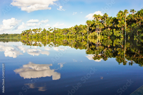 Amazon Basin, Peru, South America