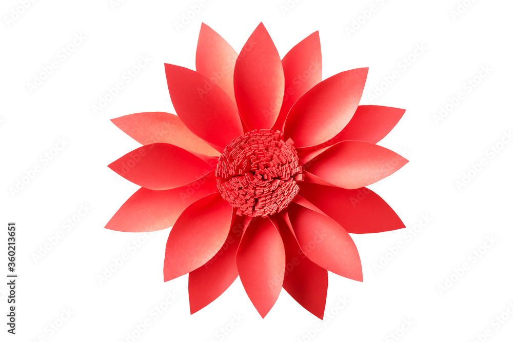 Fototapeta premium Isolated red paper flower on white background