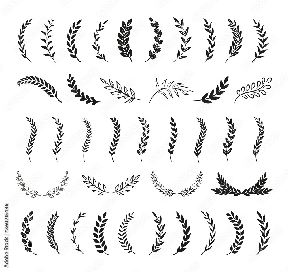 Set of hand drawn silhouette tree branches with laurel, oak and olive foliate. Vector illustration for your frame, border, ornament design, wreaths depicting an award, achievement, heraldry, emblem, l