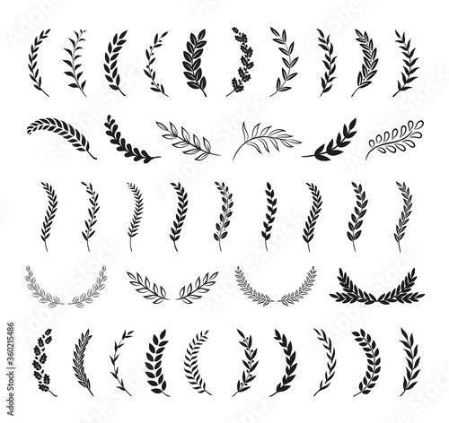 Set of hand drawn silhouette tree branches with laurel, oak and olive foliate. Vector illustration for your frame, border, ornament design, wreaths depicting an award, achievement, heraldry, emblem, l