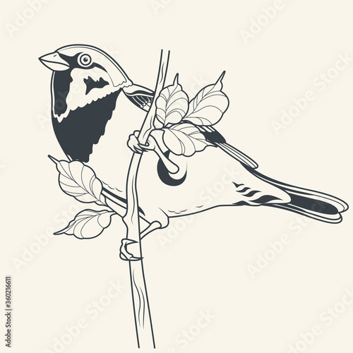 Sparrow and Leaves, Little Birdie on a branch, Line art Drawing, Tattoo Design Style 