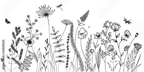 Black silhouettes of grass, flowers, herbs and  various insects isolated on white background. Hand drawn sketch flowers and insects.