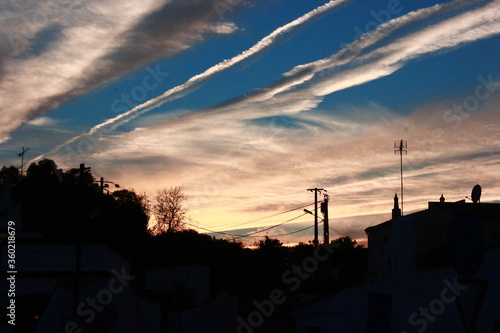 Sunset with palm and chemtrails