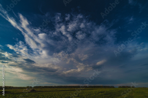Landscape in the afternoon with a green field and a beautiful large white cloud
