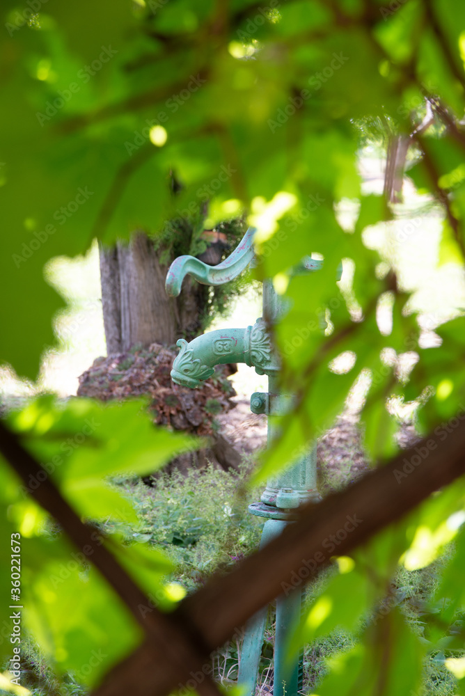 Fototapeta premium Antique and old yard water pump