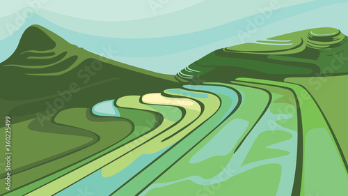 Landscape with paddy fields. Beautiful agricultural scenery.