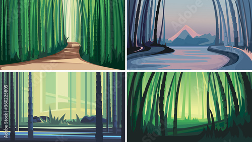 Set of bamboo forests. Beautiful nature sceneries.