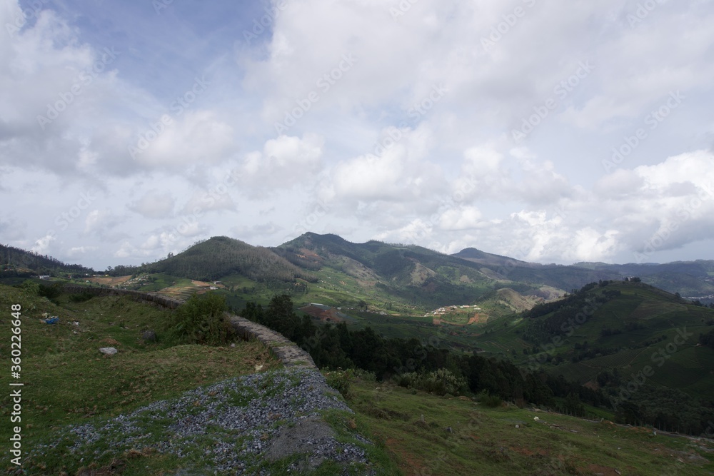 Fototapeta premium Nature with landscape and tea garden 
