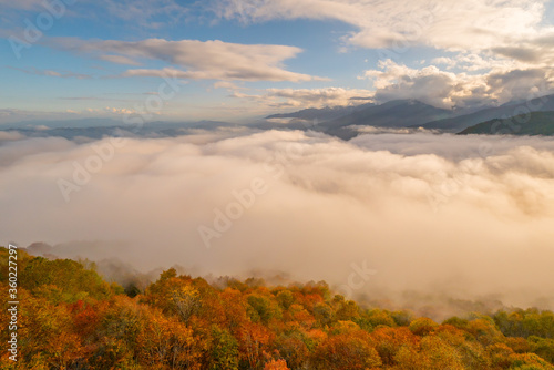 紅葉の八方尾根の山肌と雲海