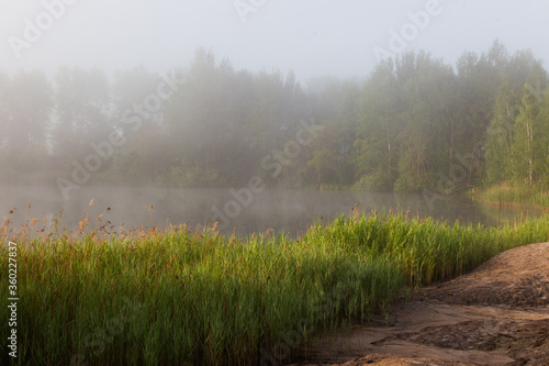 Fog over the lake in the early summer morning.
