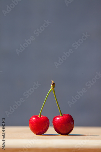 Two ripe red berries of a sweet cherry on a double tail on a gray background