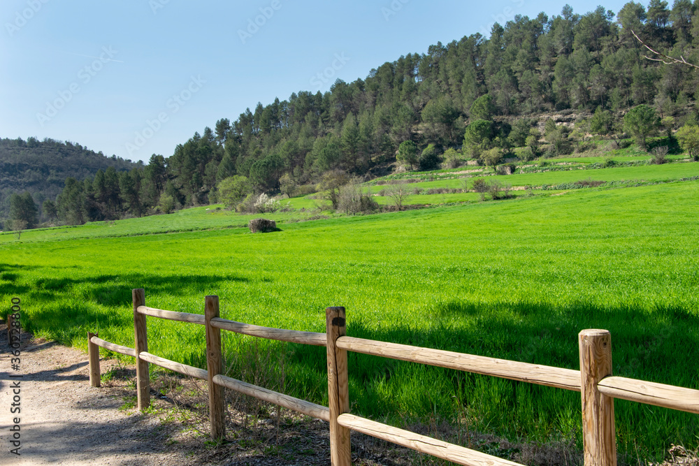 Camino rural con una valla de madera para proteger un campo sembrado de los viandantes.