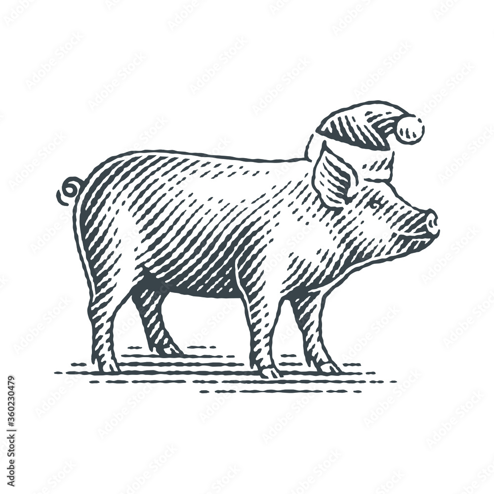 New Year Sign Zodiac Pig. Hand drawn engraving style illustrations. New Year Sign Zodiac Pig. Hand drawn engraving style illustrations.