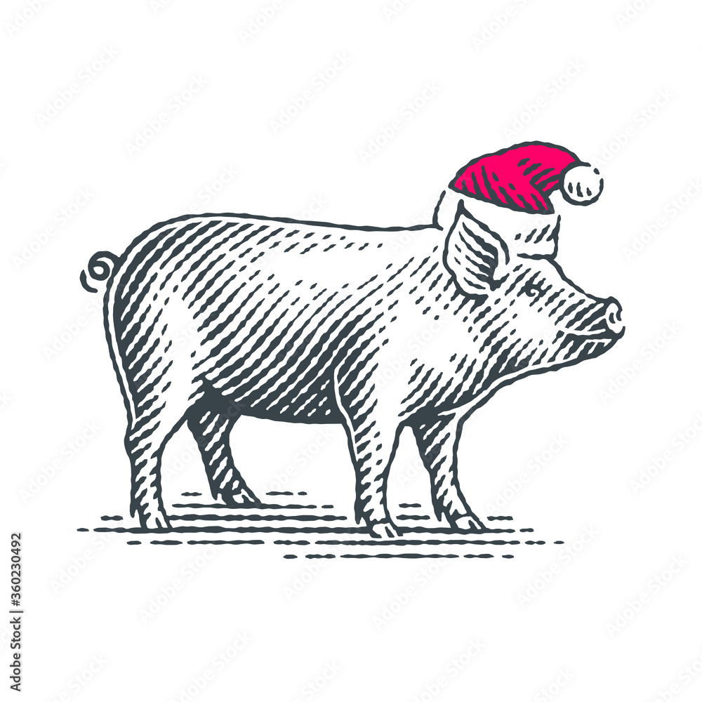 New Year Sign Zodiac Pig. Hand drawn engraving style illustrations. New Year Sign Zodiac Pig. Hand drawn engraving style illustrations.