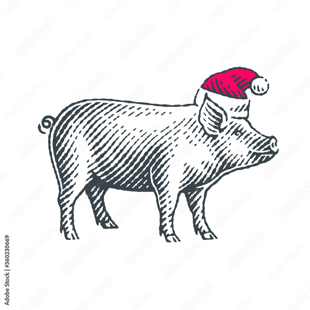 New Year Sign Zodiac Pig. Hand drawn engraving style illustrations.