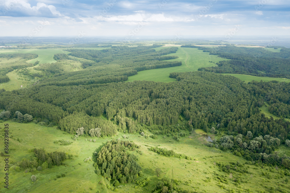 view of the forest near the city of Gorbatov
