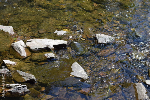 wilder Fluss in der Eifel, Lieser bei Manderscheid photo