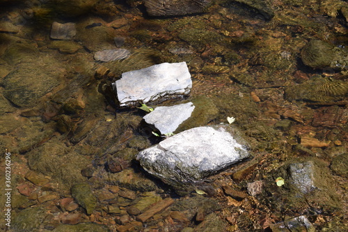 wilder Fluss in der Eifel, Lieser bei Manderscheid photo