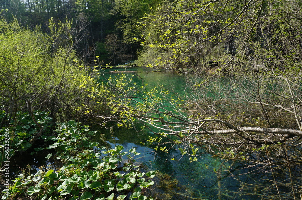 Gradinsko Jezero, Plitvice Lakes National Park, Croatia Gradinsko Jezero, Plitvice Lakes National Park, Croatia