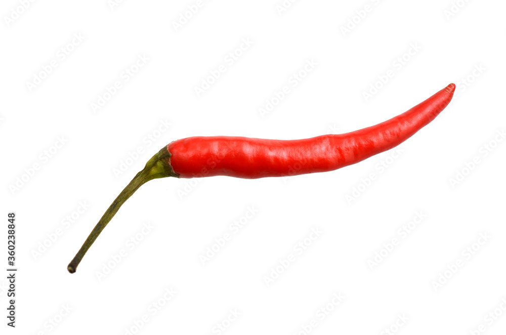 Red hot chili pepper