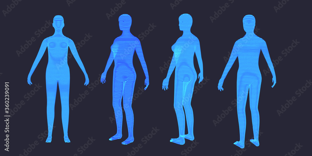 Human body lines wireframe woman body set. Futuristic lines scan. 3D